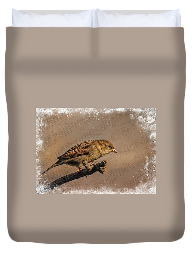 Song Duvet Cover featuring the photograph Song Bird by Cathy Kovarik