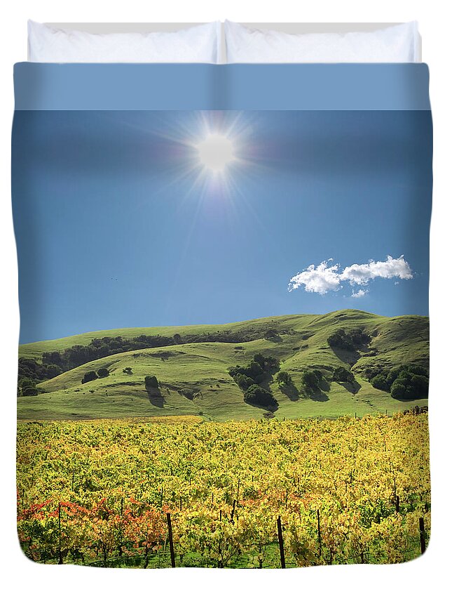 Scenics Duvet Cover featuring the photograph Sonoma Valley Winery Vines by Ivanastar
