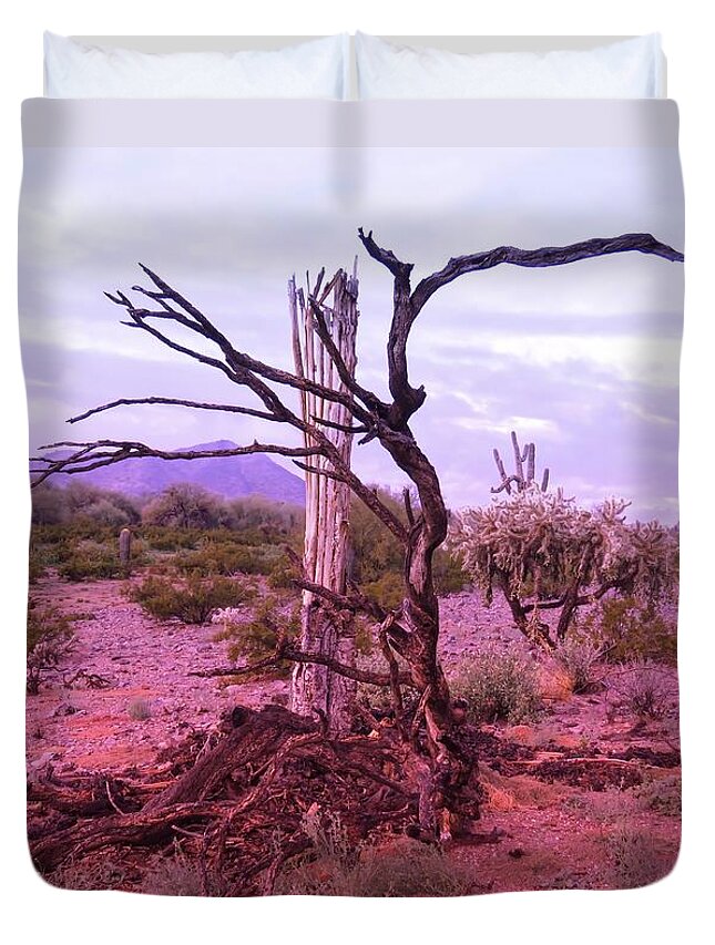 Arizona Duvet Cover featuring the photograph Sonoran Desert Spine by Judy Kennedy