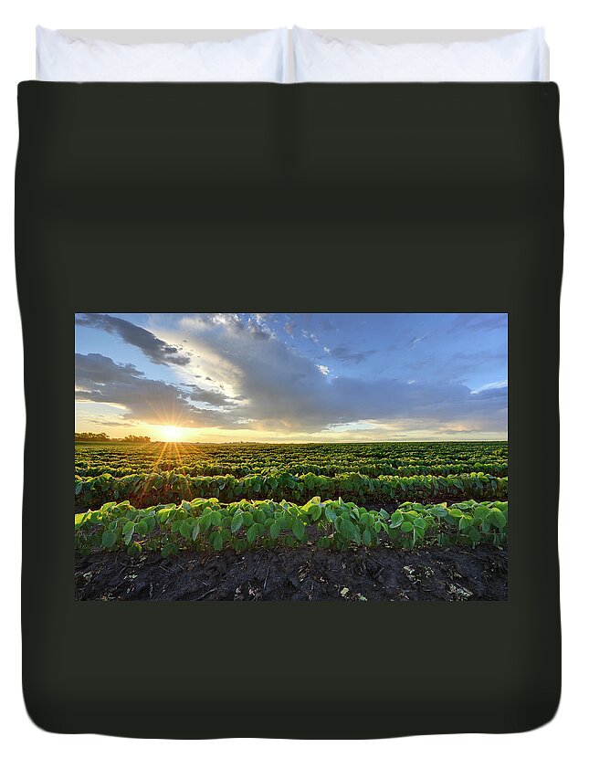 Season Duvet Cover featuring the photograph Soybean Field At Sunrise by Hauged
