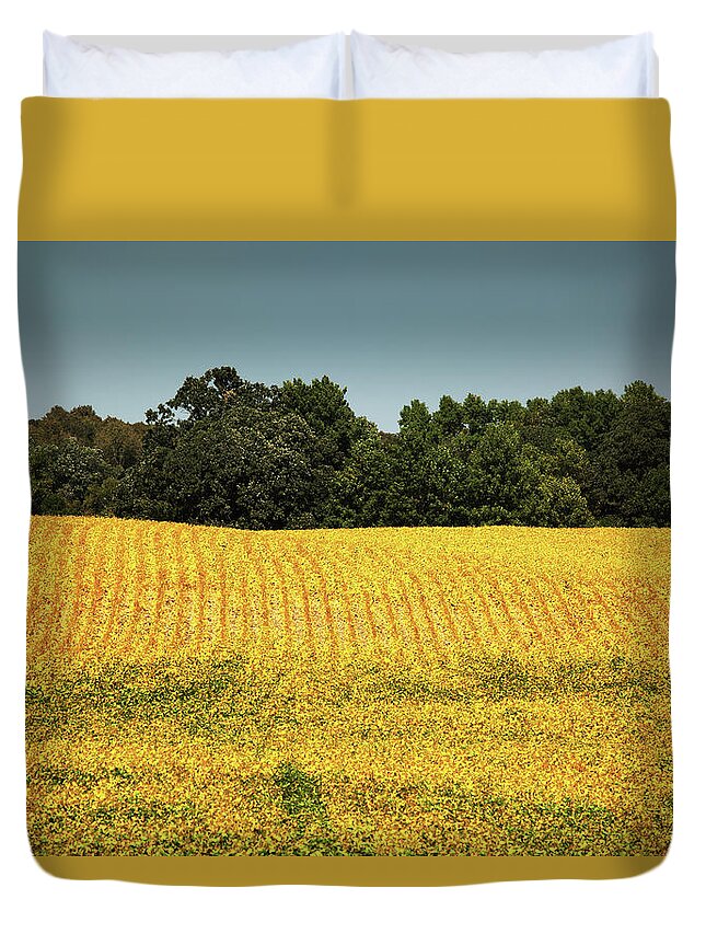 Scenics Duvet Cover featuring the photograph Soybean Field Mature For Harvest by Yinyang