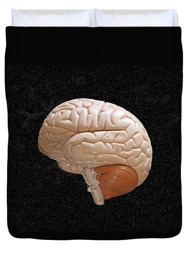 Anatomy Duvet Cover featuring the photograph Space Brain by Richard Newstead