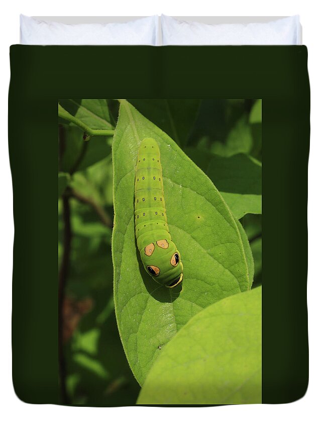 Caterpiller Duvet Cover featuring the photograph Spicebush Swallowtail Caterpillar by Karen Ruhl