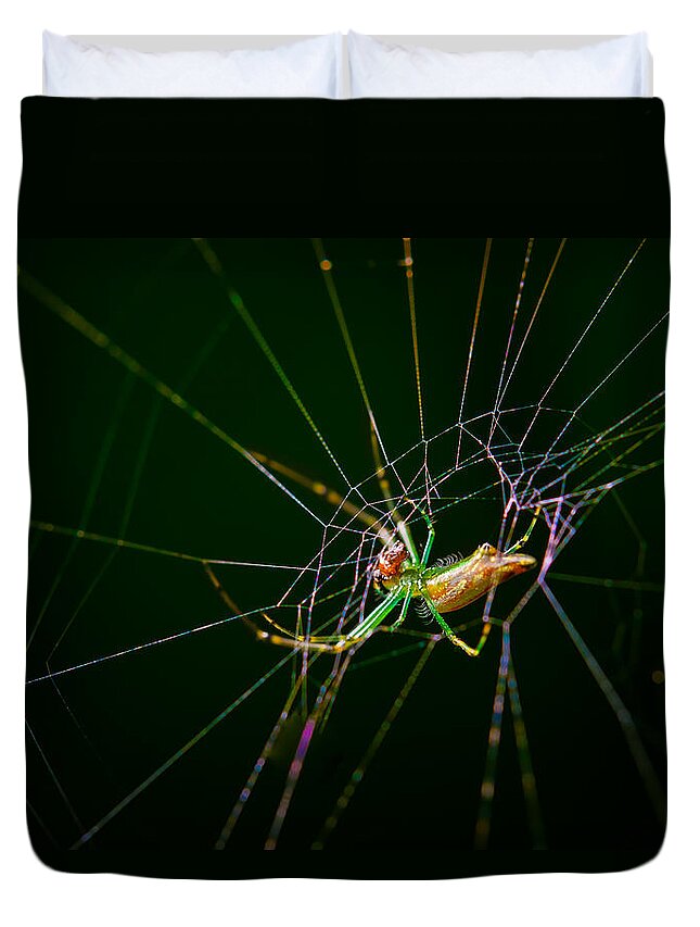 Animal Themes Duvet Cover featuring the photograph Spider by Albert Photo