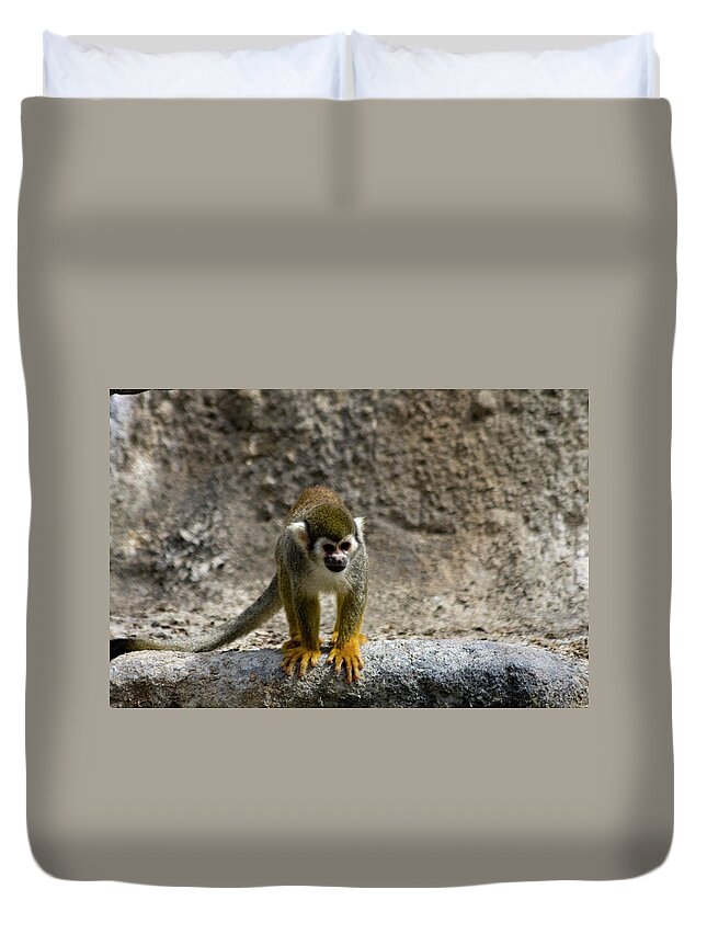 Animal Themes Duvet Cover featuring the photograph Spider Monkey On Rock by Bridget Coila