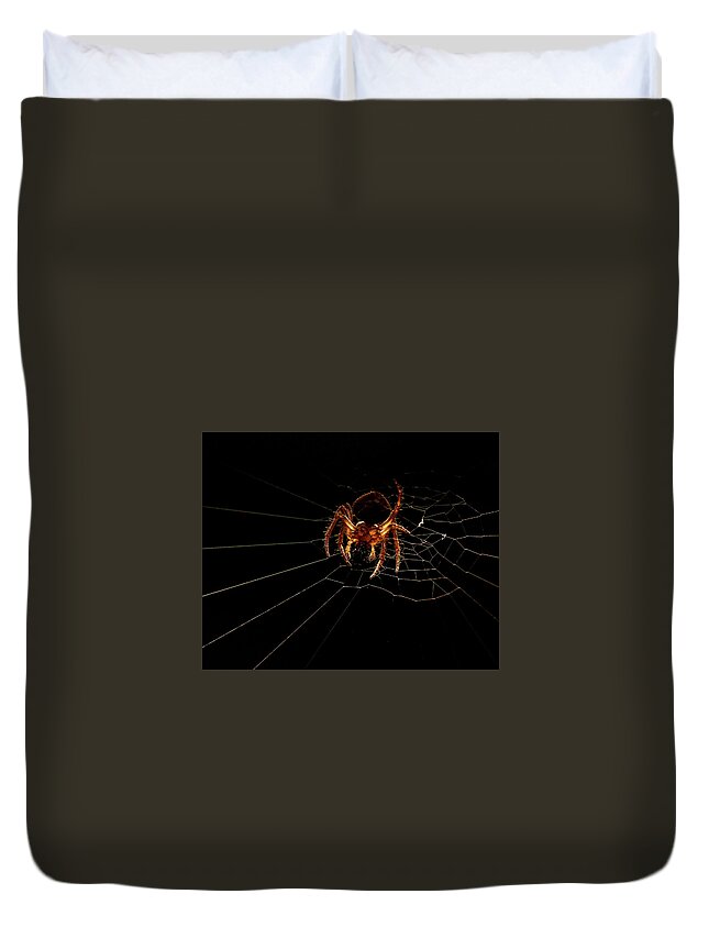 Animal Duvet Cover featuring the photograph Macro Photography - Spider on Web by Amelia Pearn