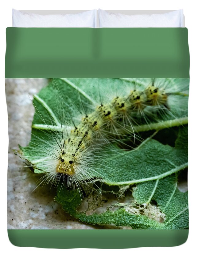 Caterpillar Duvet Cover featuring the photograph Spike by Cathy Kovarik