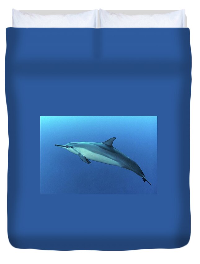 Underwater Duvet Cover featuring the photograph Spinner Dolphin Profile by Photo By Barry Fackler