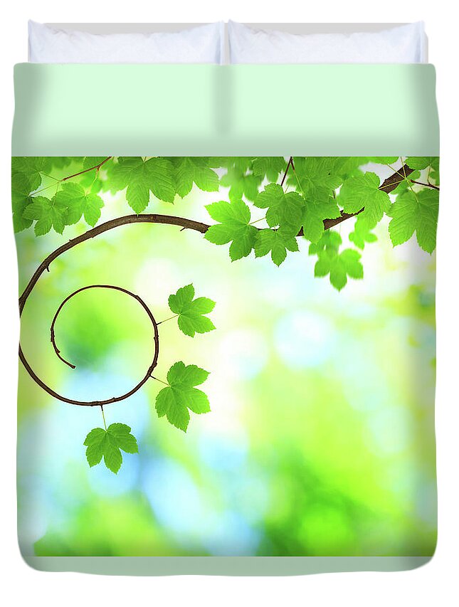 Curve Duvet Cover featuring the photograph Spring Background by Borchee
