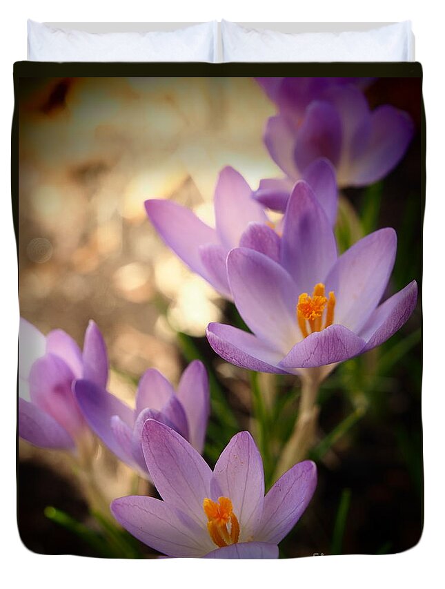 Color Duvet Cover featuring the photograph Spring Crocus Flowers 2 by Dorothy Lee