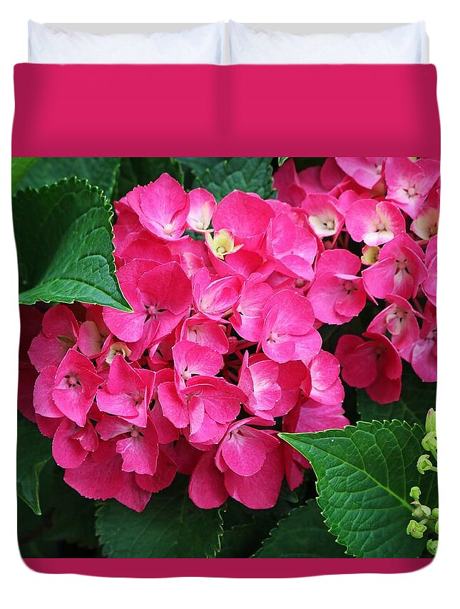 Hydrangea Duvet Cover featuring the photograph Spring Hydrangea by Michiale Schneider