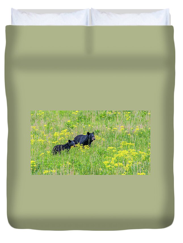 American Black Bears Duvet Cover featuring the photograph Spring Meadow in Cades Cove by Marcy Wielfaert