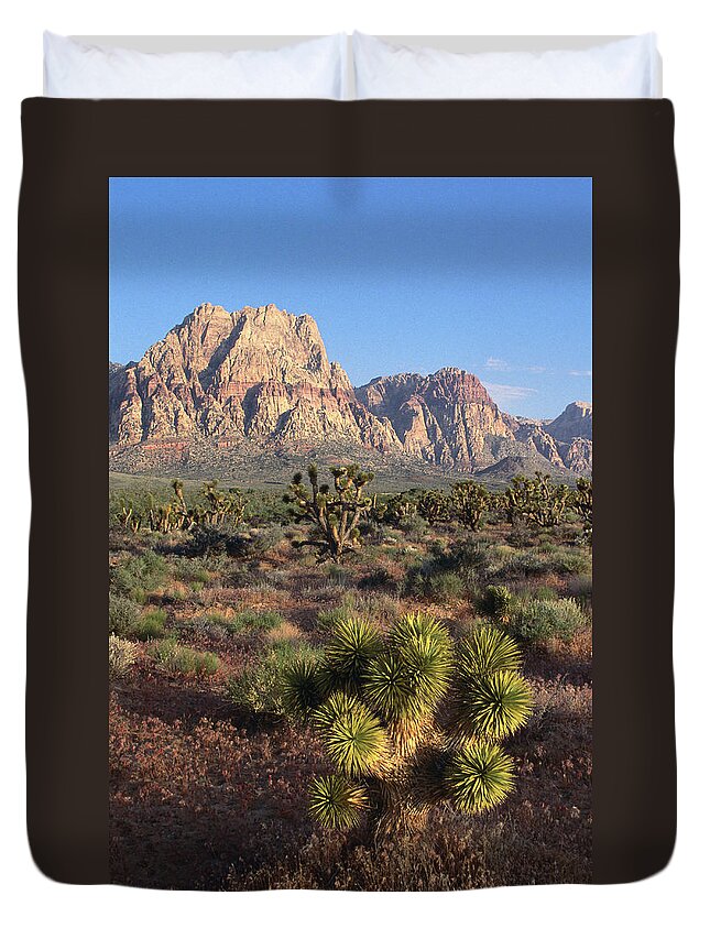 Scenics Duvet Cover featuring the photograph Spring Mountains With Joshua Trees by John Elk Iii