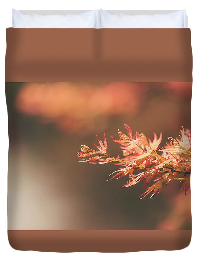  Duvet Cover featuring the photograph Spring or Fall by Dheeraj Mutha