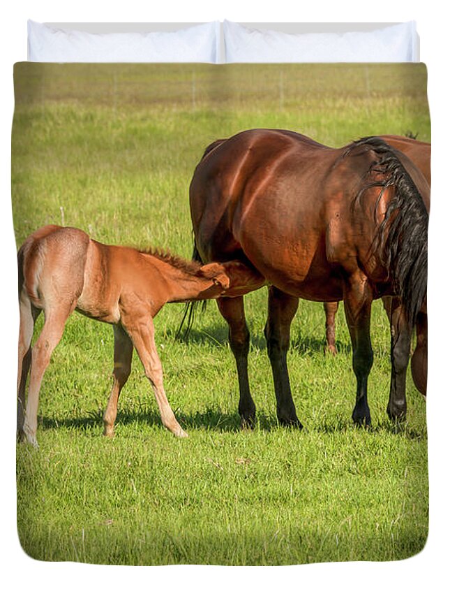 Horses Duvet Cover featuring the photograph Spring Pasture 01022 by Kristina Rinell
