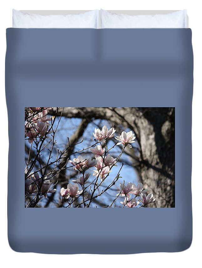Landscapes Duvet Cover featuring the photograph Spring Time in the Morning by Jason Huffman