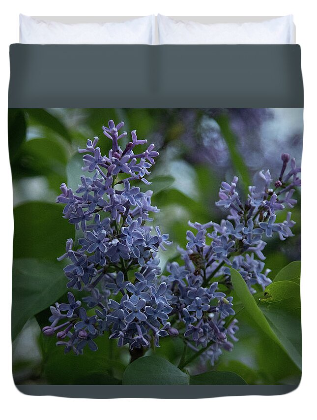 Close Up Duvet Cover featuring the photograph Springtime Lilac by Jeff Folger
