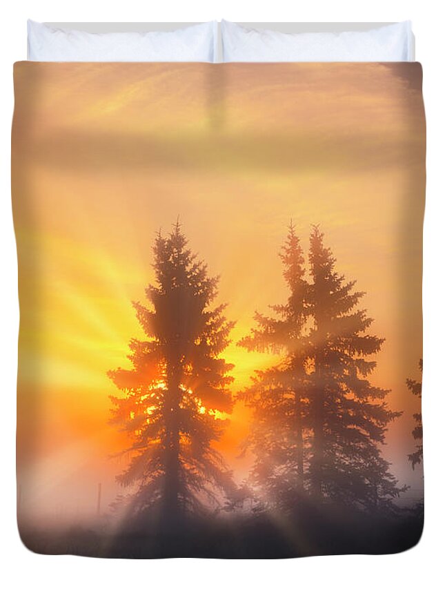 Spruce Trees Duvet Cover featuring the photograph Spruce Trees in the Morning by Dan Jurak