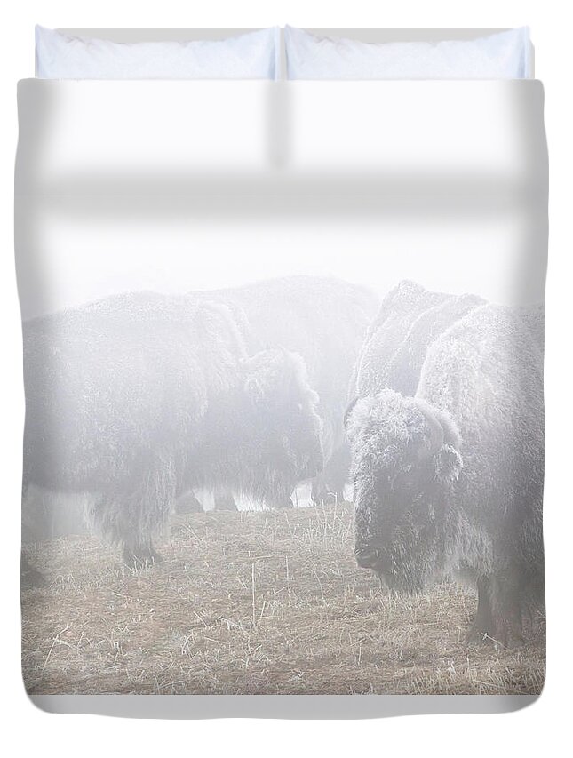 Standing Duvet Cover featuring the photograph Standing In The Frozen Fog by Brian Gustafson