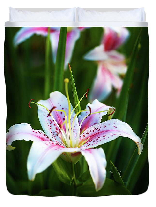 Flower Duvet Cover featuring the photograph Stargazer Lily by SC Shank