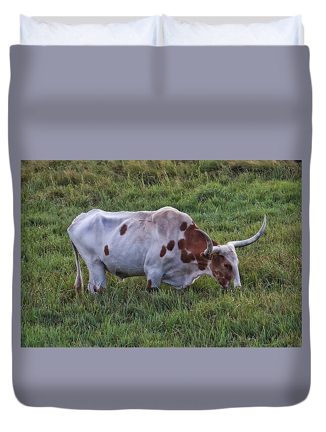 Steer Duvet Cover featuring the photograph Steer by Susan Jensen