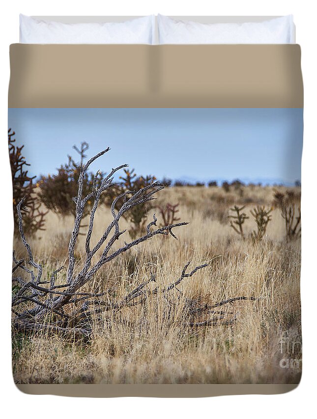 New Mexico Desert Duvet Cover featuring the photograph Still Life In The Mesa by Robert WK Clark