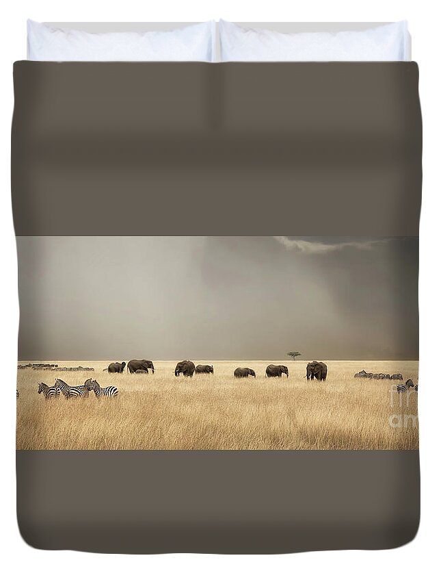 Mara Duvet Cover featuring the photograph Stormy skies over the masai Mara with elephants and zebras by Jane Rix