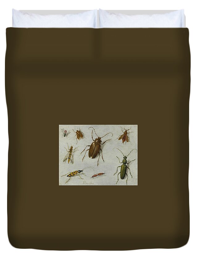 17th Century Art Duvet Cover featuring the painting Study of Insects by Jan van Kessel the Elder