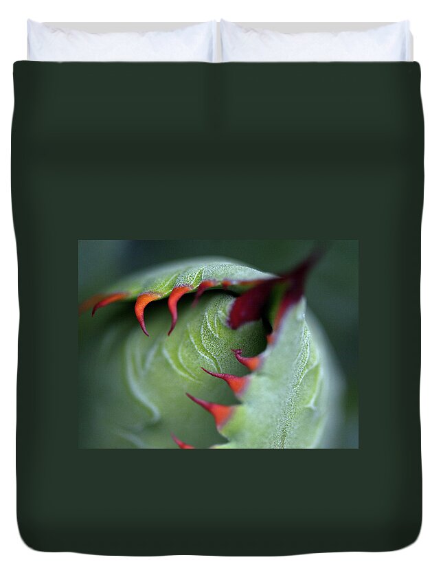 Tranquility Duvet Cover featuring the photograph Succulent Cactus Bud by John K. Goodman