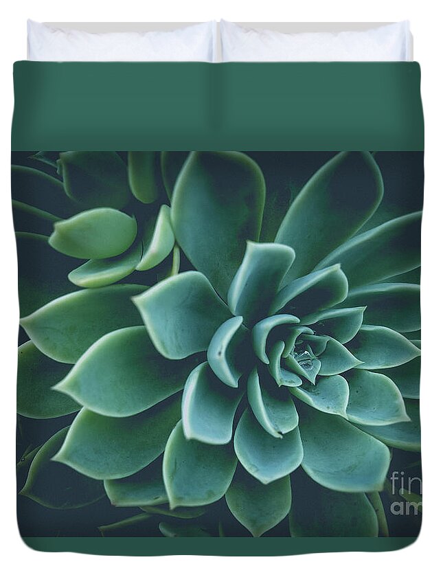 Succulent Duvet Cover featuring the photograph Succulent Plants Film Fade by Edward Fielding