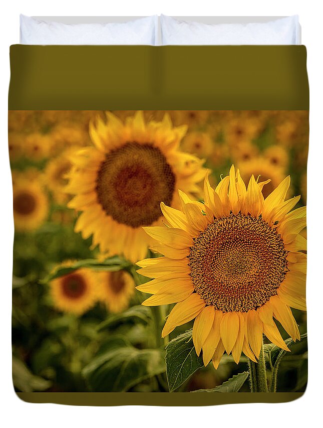 Colorado Duvet Cover featuring the photograph Summer Sunny Sunflower Field by Teri Virbickis