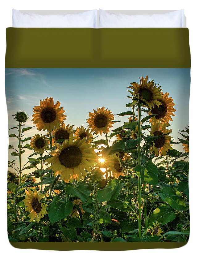 1088 Jesse Place Elmira Duvet Cover featuring the photograph Sun and sunnflowers by Nick Mares