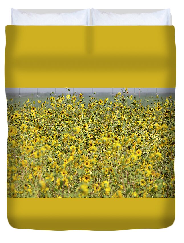Sunflowers Duvet Cover featuring the photograph Sunflower Explosion by Jonathan Thompson