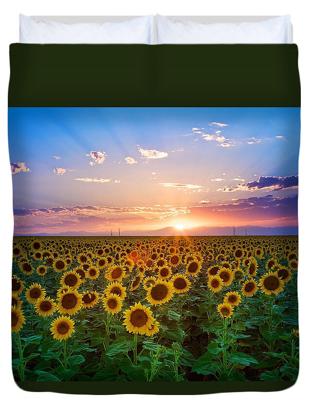 Scenics Duvet Cover featuring the photograph Sunflower by Hansrico Photography