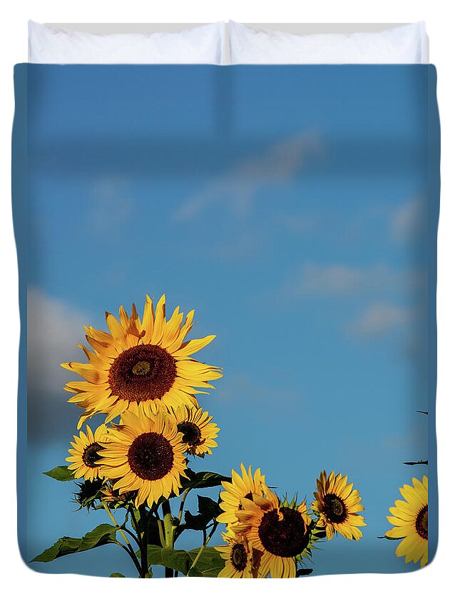 Nature Duvet Cover featuring the photograph Sunflower Portrait by Douglas Wielfaert