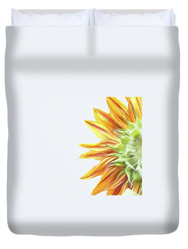 White Background Duvet Cover featuring the photograph Sunflower, Rear View, Detail by Michael Adendorff