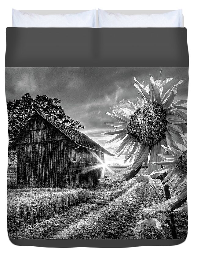 American Duvet Cover featuring the photograph Sunflower Watch in Black and White by Debra and Dave Vanderlaan