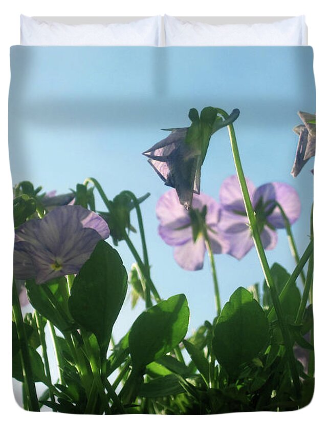 Spring Duvet Cover featuring the photograph Sunlit Spring Flowers by Jaeda DeWalt