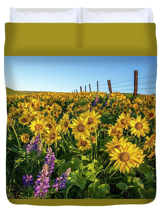 Sunny Balsamroot Duvet Cover featuring the photograph Sunny balsamroot by Lynn Hopwood