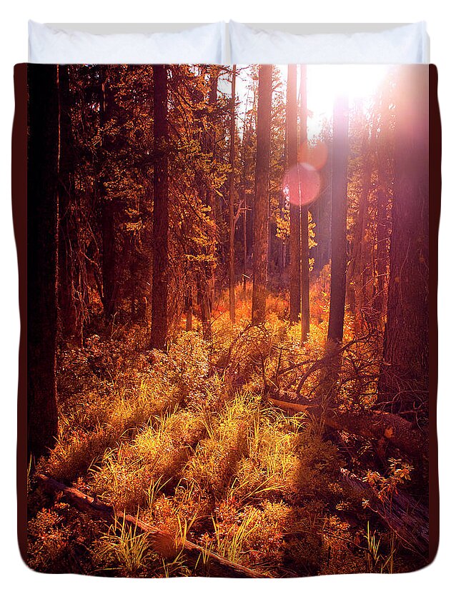Tranquility Duvet Cover featuring the photograph Sunny Forest Morning by Anna Gorin