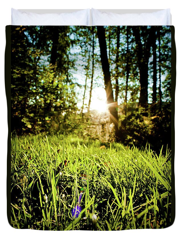 Tranquility Duvet Cover featuring the photograph Sunny Lawn by Christopher Kimmel