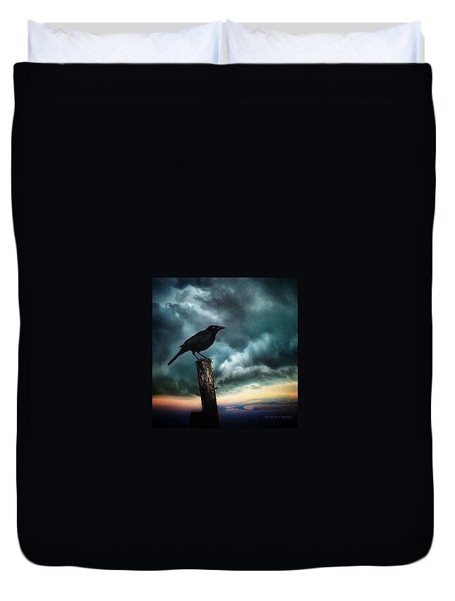 Crow Duvet Cover featuring the photograph Sunrise by Brenda Wilcox aka Wildeyed n Wicked
