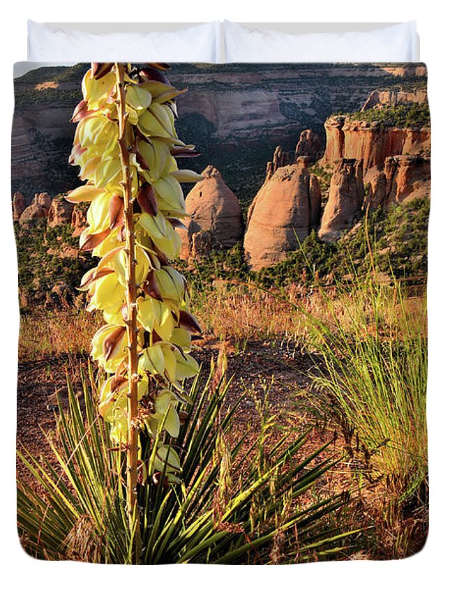 Colorado National Monument Duvet Cover featuring the photograph Sunrise on Blooming Yucca above Coke Ovens by Ray Mathis