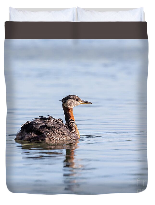 Photography Duvet Cover featuring the photograph Sunset Grebes by Alma Danison