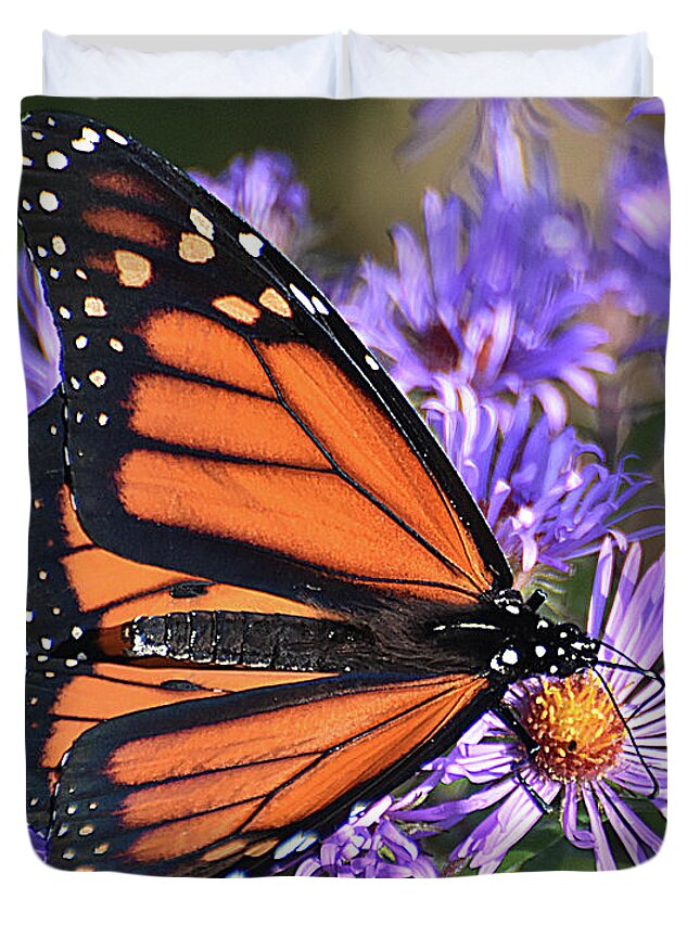 Diane Berry Duvet Cover featuring the photograph Sunset Monarch by Diane E Berry