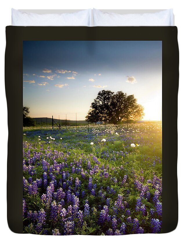 Lupine Duvet Cover featuring the photograph Sunset Over A Field Of Texas Bluebonnets by Photography By Bridget Calip