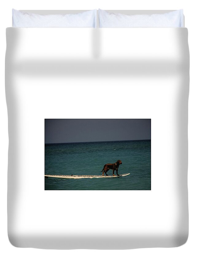 People Duvet Cover featuring the photograph Surfing Dog by Tito Slack