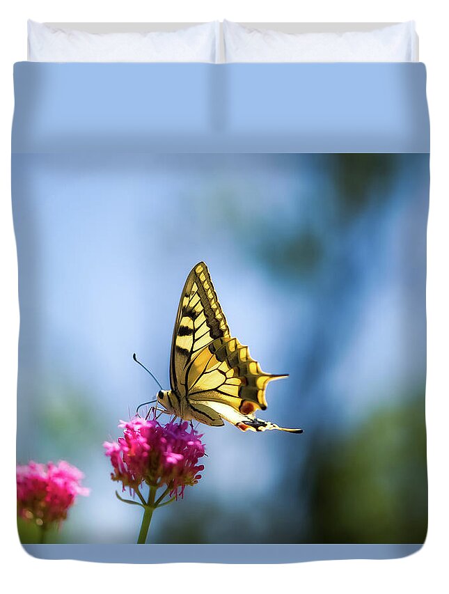 Insect Duvet Cover featuring the photograph Swallowtail Butterfly On Pink Flower by Alexandre Fp