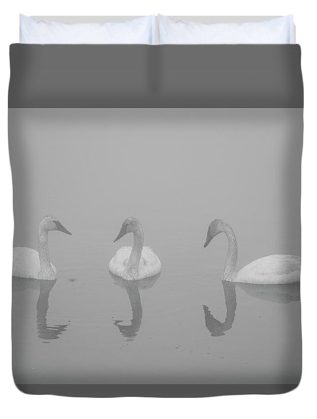 Swan Duvet Cover featuring the photograph Swan Reflections by Patrick Nowotny