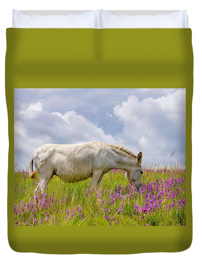 Wild Burro Duvet Cover featuring the photograph Sweet Burro by Susan Rydberg